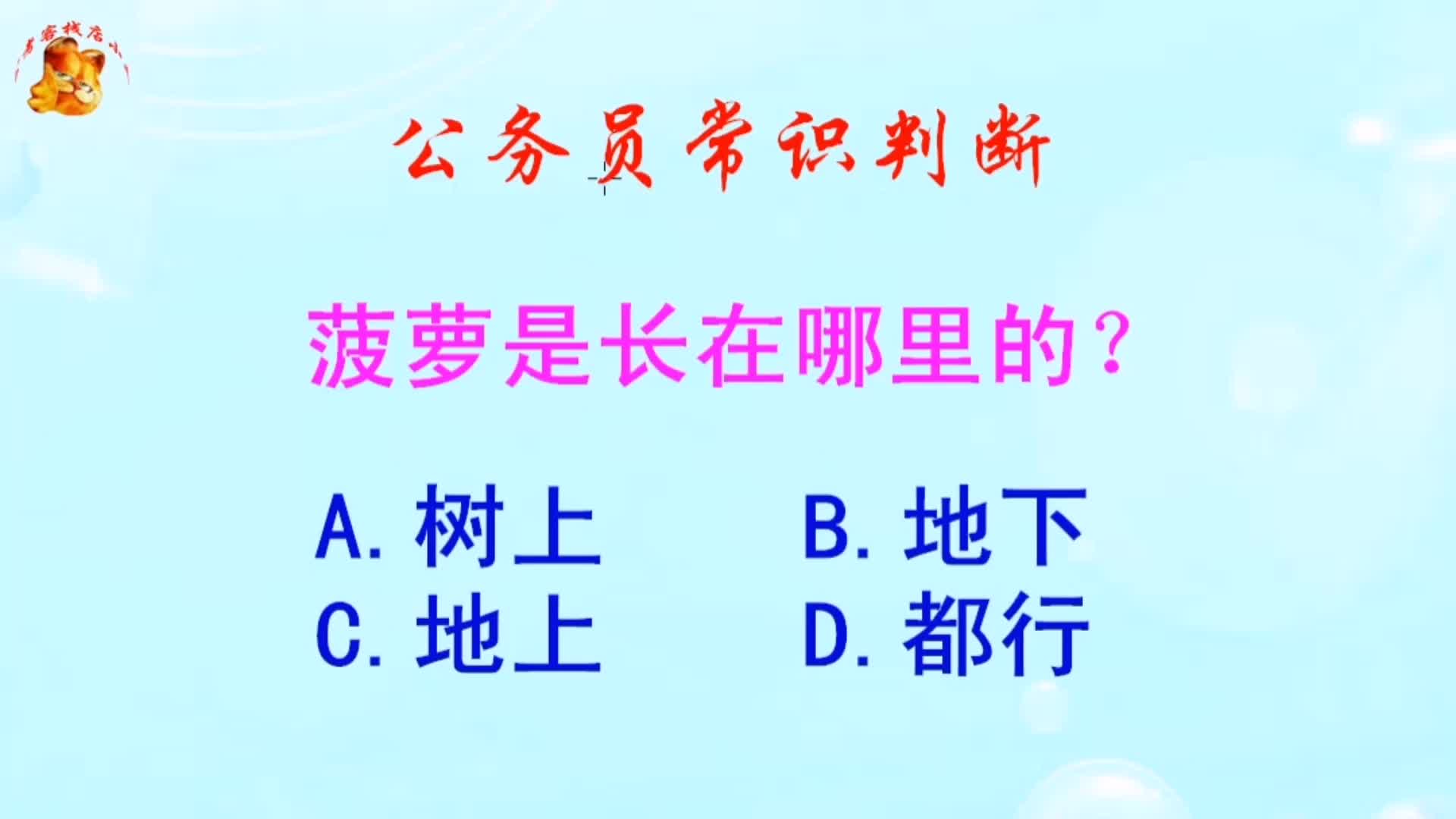 公务员常识判断，菠萝是长在哪里的？长见识啦